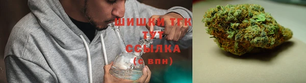шишки Алзамай