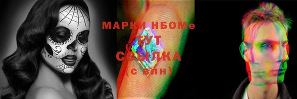 шишки Алзамай